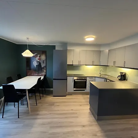 Arctic Mas Apartman *